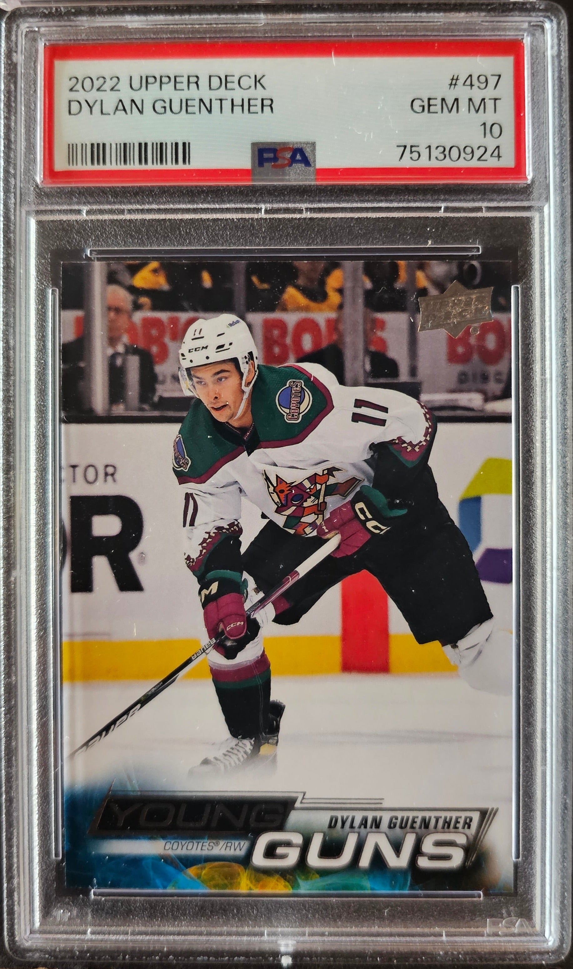 Dylan Guenther Young Guns (Rookie) #497 Graded PSA 10 - 2022/23