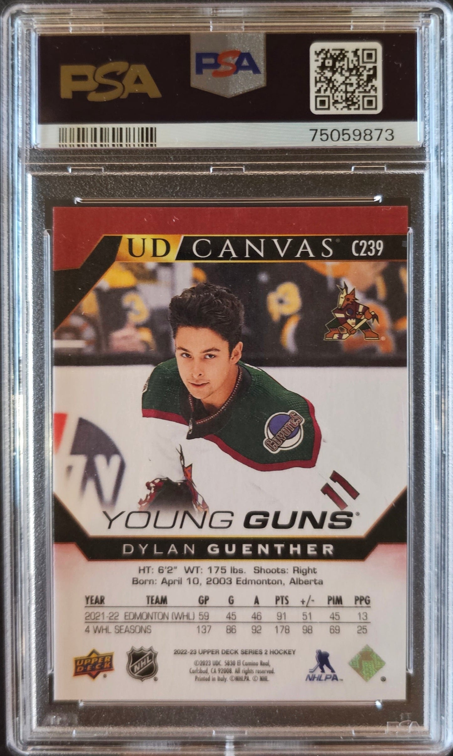 Dylan Guenther Young Guns Canvas #C239 Graded PSA 10 - 2022/23 Series 2