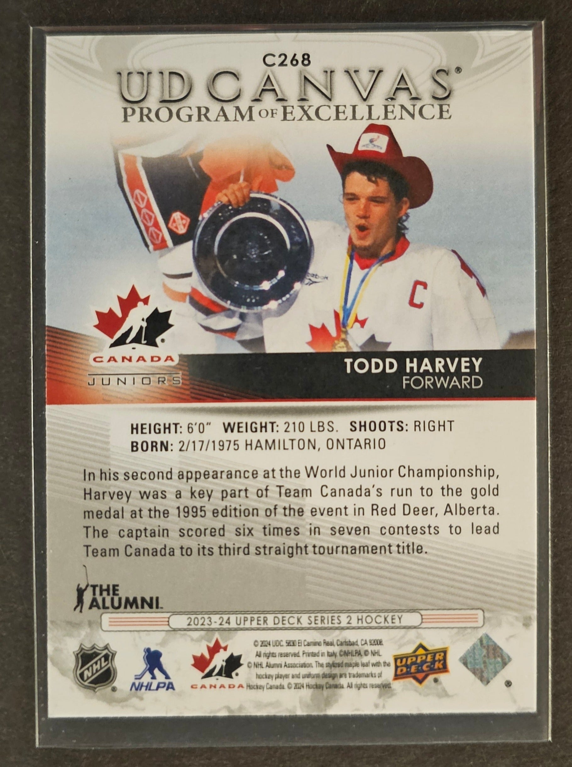 Todd Harvey UD Canvas Program of Excellence - 2023/24 Series 2