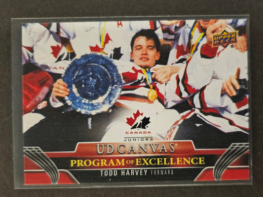 Todd Harvey UD Canvas Program of Excellence - 2023/24 Series 2